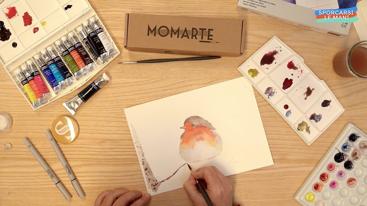 SPORCARSI LE MANI, ep. 8 - Dipingere un pettirosso con gli acquerelli, con Cecilia Marra