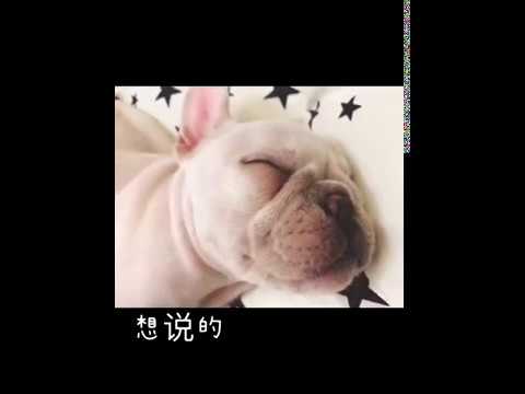 【莊心妍 Ada/vlog】新歌《幸福第一站》mv小片段！