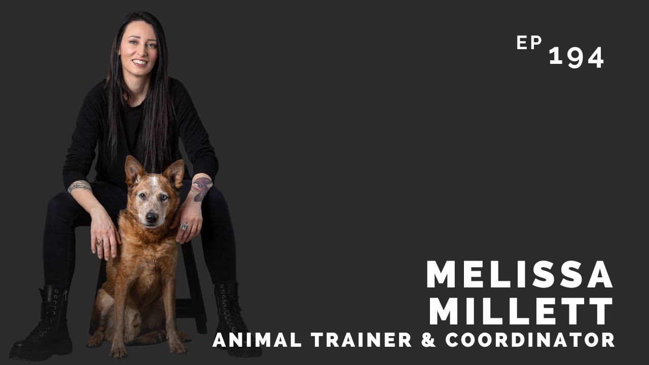 Мелисса Миллетт: дрессировщик и координатор