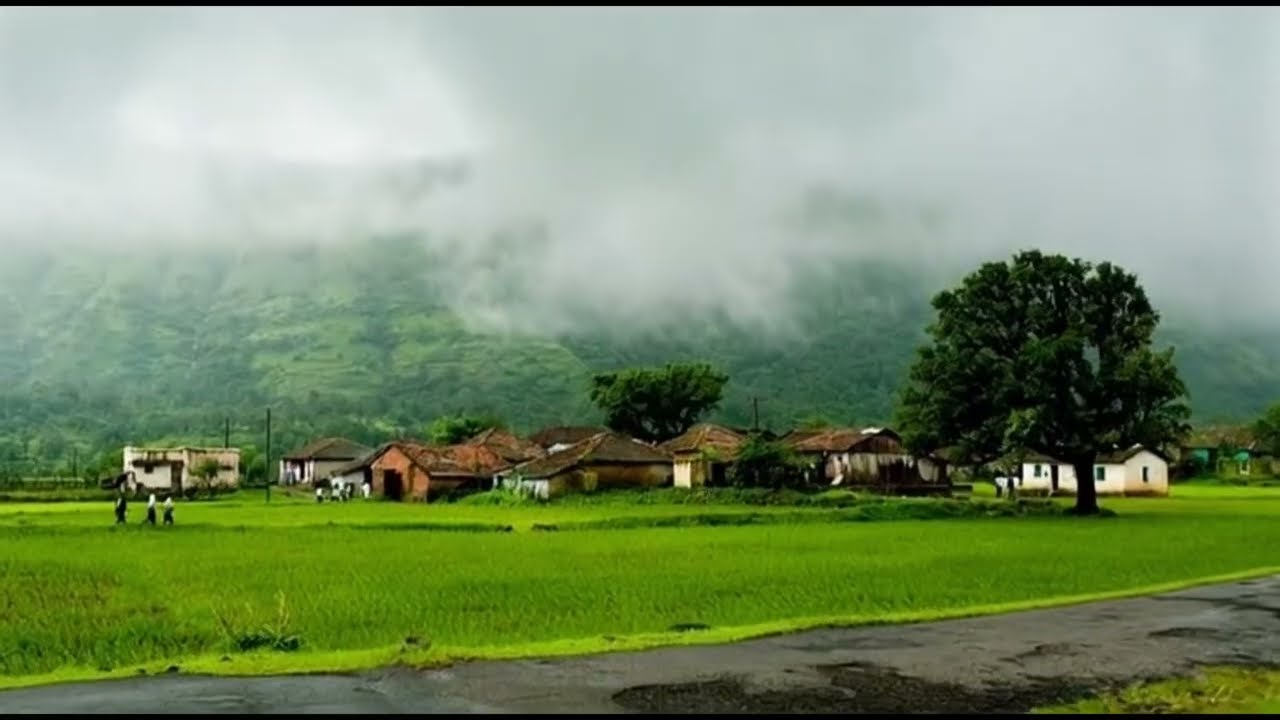 The trees repeat the history 