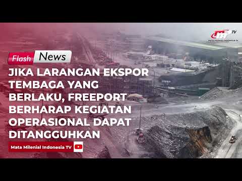 Jika Larangan Ekspor Tembaga Yang Berlaku, Freeport Berharap Kegiatan Operasional Dapat Ditangguhkan