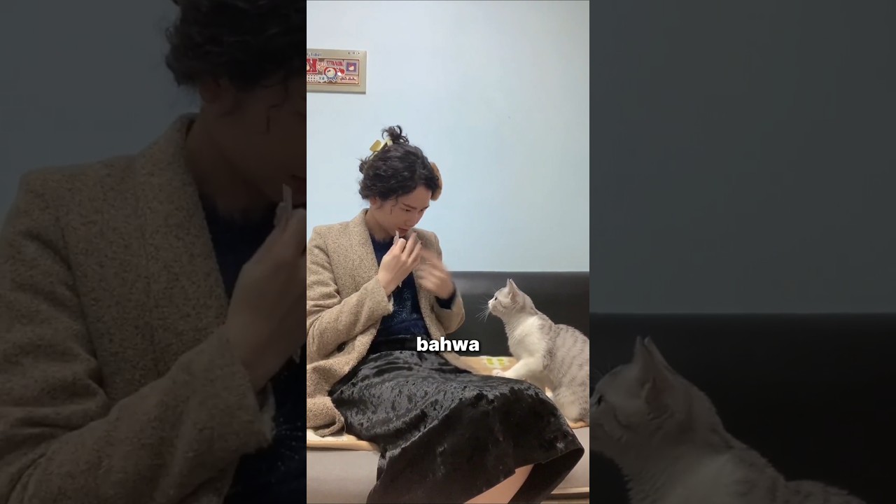 Kucing Ini Belajar Bahasa Isyarat 💕