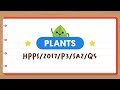 Understanding Plant Stems and Their Functions