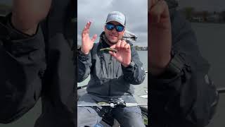 Cody Meyer shows off the New Yamatanuki Soft Plastic Bass Bait by Yamamoto screenshot 3