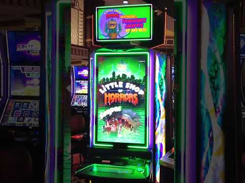 Always Winning With A Quick Spin #casino #slots #gambling