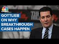 Dr. Scott Gottlieb on why Covid breakthrough cases are happening