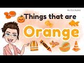 THINGS THAT ARE ORANGE Learning Colors For Kids Orange Color Objects 