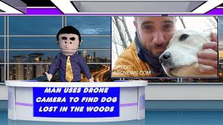 Man Uses Drone Camera To Find Missing Dog