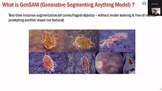 AIDA Excellence Lecture 43: "LLMs for More Reliable Small Data Learning".