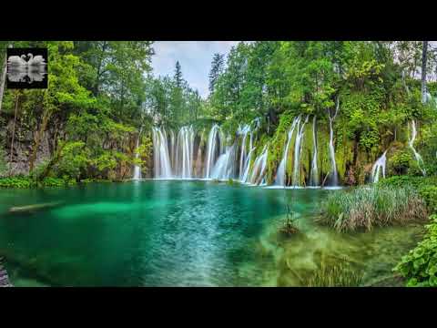 Video: Escursioni Nel Parco Nazionale Dei Laghi Di Plitvice, Croazia - Rete Matador