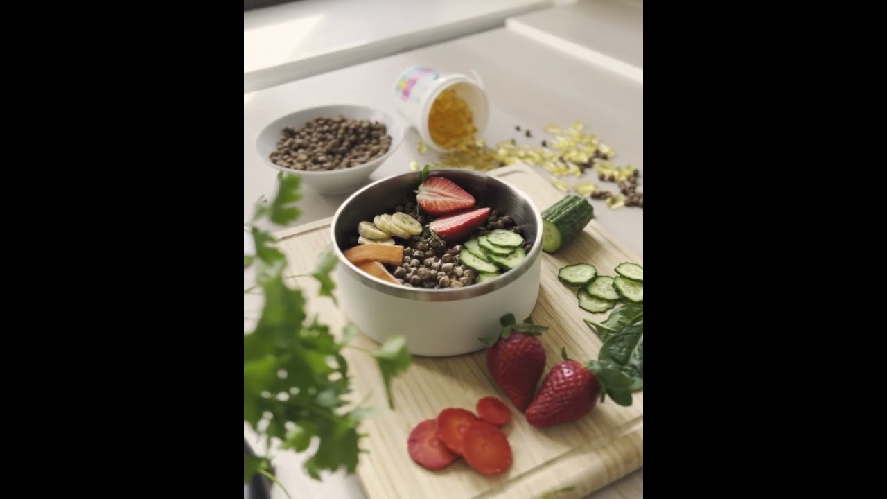 Har hunden din flass i pelsen? Tørre trampputer og svake klør?