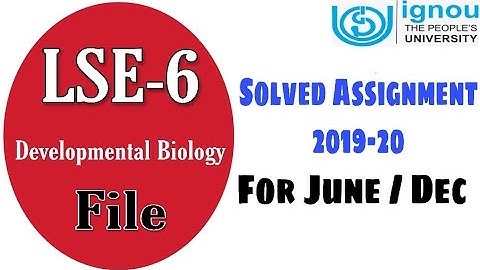 IGNOU | LSE 6 Assignment File ऐसे बनानी हैं🔥| Best👌 way to make ignou Assignment File🔥