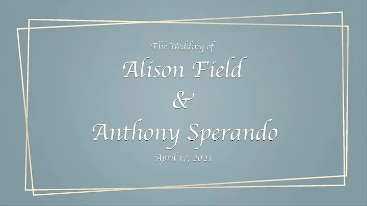 The Wedding of Alison Field & Anthony Sperando, Ap...