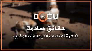 Docu360: حقائق صادمة حول ظاهرة اغتصاب الحيوانات بالمغرب