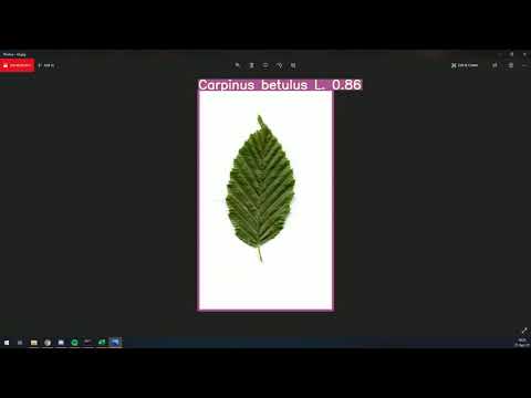 Yolov5 Plant Species Detection - Images