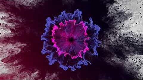 Sofie.be Video Intro Outro voorbeeld 18