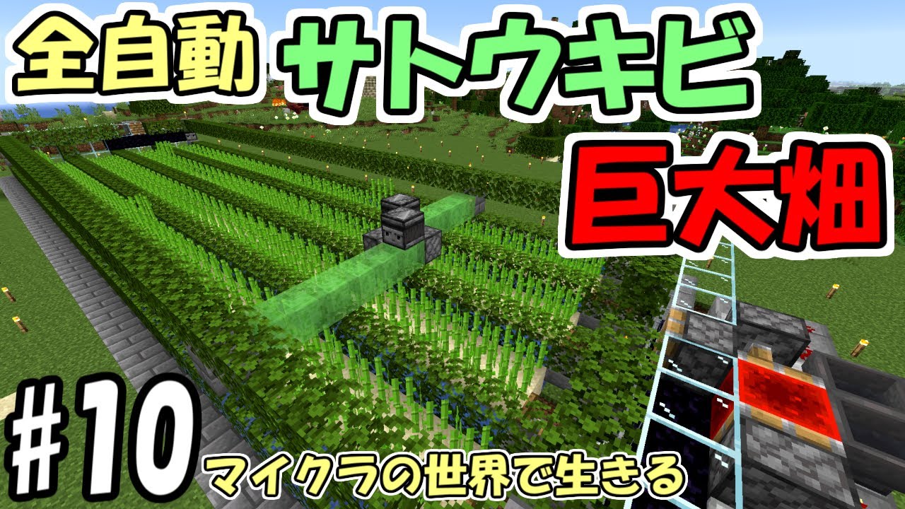 マインクラフト】#10 マイクラの世界で生きる ～フライングマシン式サトウキビ畑～【実況】 - YouTube