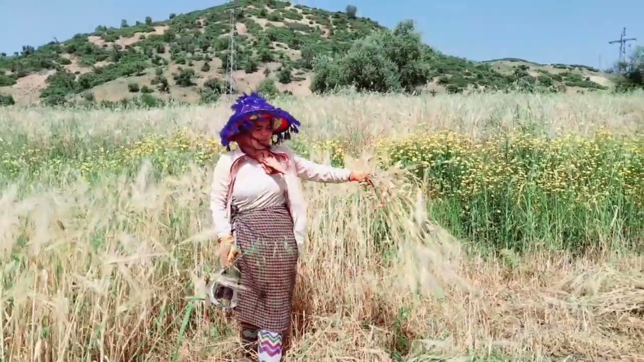 شاركت معكم حصد الشاعر