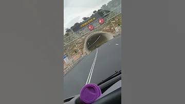 ضايعين تايهين 