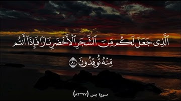 سورة يس (77-83)