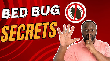 5 SECRETS to Getting Rid of Bed Bugs