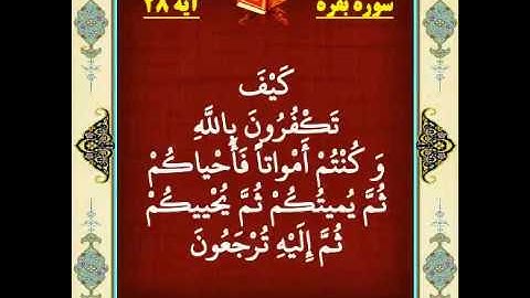 سوره بقره آیه 28