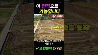 010-4864-8942 No.611 : 농지 179평 2,500만원 실화? 대구 5분 거리 청도 급매 #청도부동산 #청도토지 #주말농장