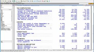 Lacerte Professional Tax Detailed Full Demonstration