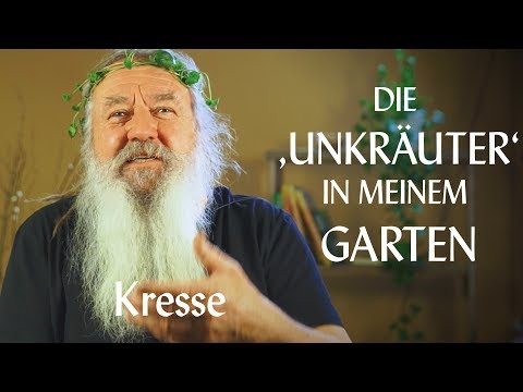 Video: Eine Kochshow Für Unkraut Kommt Zu Netflix - Die Verkostungen Sollten Urkomisch Sein