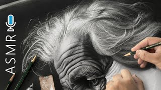 Only if Hyperrealism could be that Quick! by Art By Ali Haider 11,651 views 2 months ago 1 minute, 31 seconds
