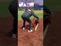 Ruin the batdog picks up bat AND ball!!.  #baseball #sports #baseballteam #dog #amazing