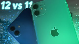 Подробное сравнение iPhone 11 и 12