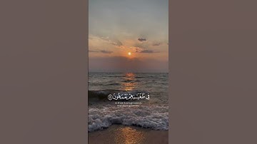 اكتب شيء تؤجر عليه ❤️  #قرآن #تلاوة_خاشعة #ماهر_المعيقلي #اكسبلور
