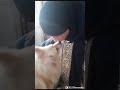 Dogi amaizing kiss hahahahahahahha