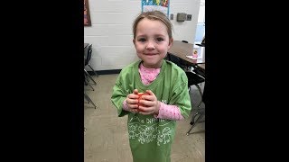 SCCF Make a Difference Day 2018
