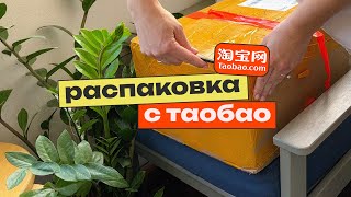 видео: РАСПАКОВКА с Таобао #3 Собачьи вкусняшки, машинки и купальник картинка: РАСПАКОВКА с Таобао #3 Собачьи вкусняшки, машинки и купальник