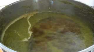 Homebrewing Adding Hops