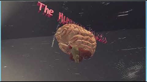 Action 10. Module 6.(5)