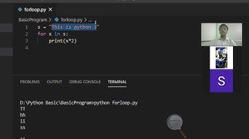 PYTHON END PARAMETER IN PRINT( )