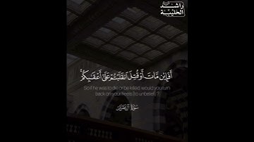 سورة آل عمران | راشد الحليبة
