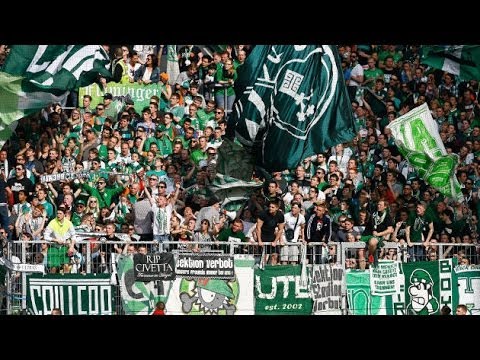 Werder-Fans in Mainz: Das gibt Mut! football score