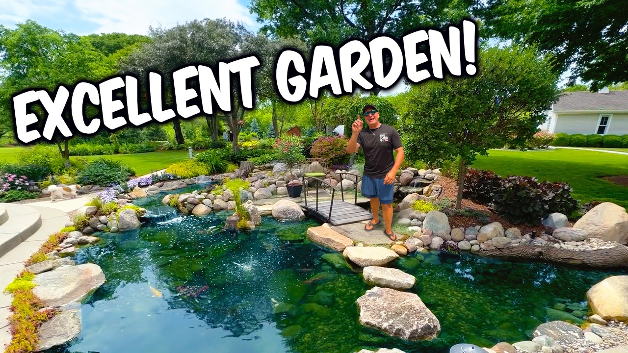 ЭКСКЛЮЗИВНЫЙ пруд на заднем дворе