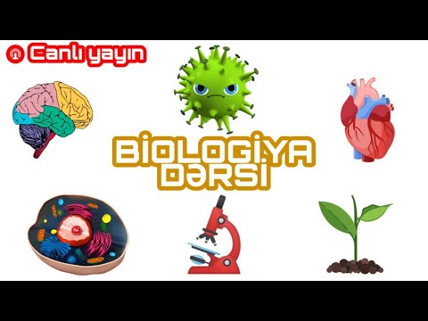 Biologiya Biokimya DİM test toplusunda canlı izahları