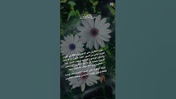 {سورة الكافرون} #اكسبلور #رمضان #لايك #إسلامي #viralshort #fyp #foryou