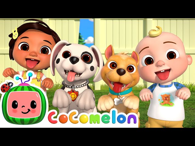 Puppy Play Date | CoComelon Nursery Rhymes & Kids Songs class=