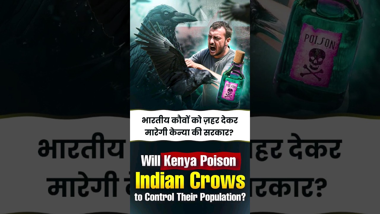 🐦‍⬛ [Environment] Starlicide: An Avicide to Kill Indian Crows in Kenya #upsc #currentaffairs
