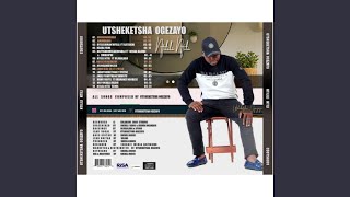 LABOTSHEKETSHA (feat. POTSO)