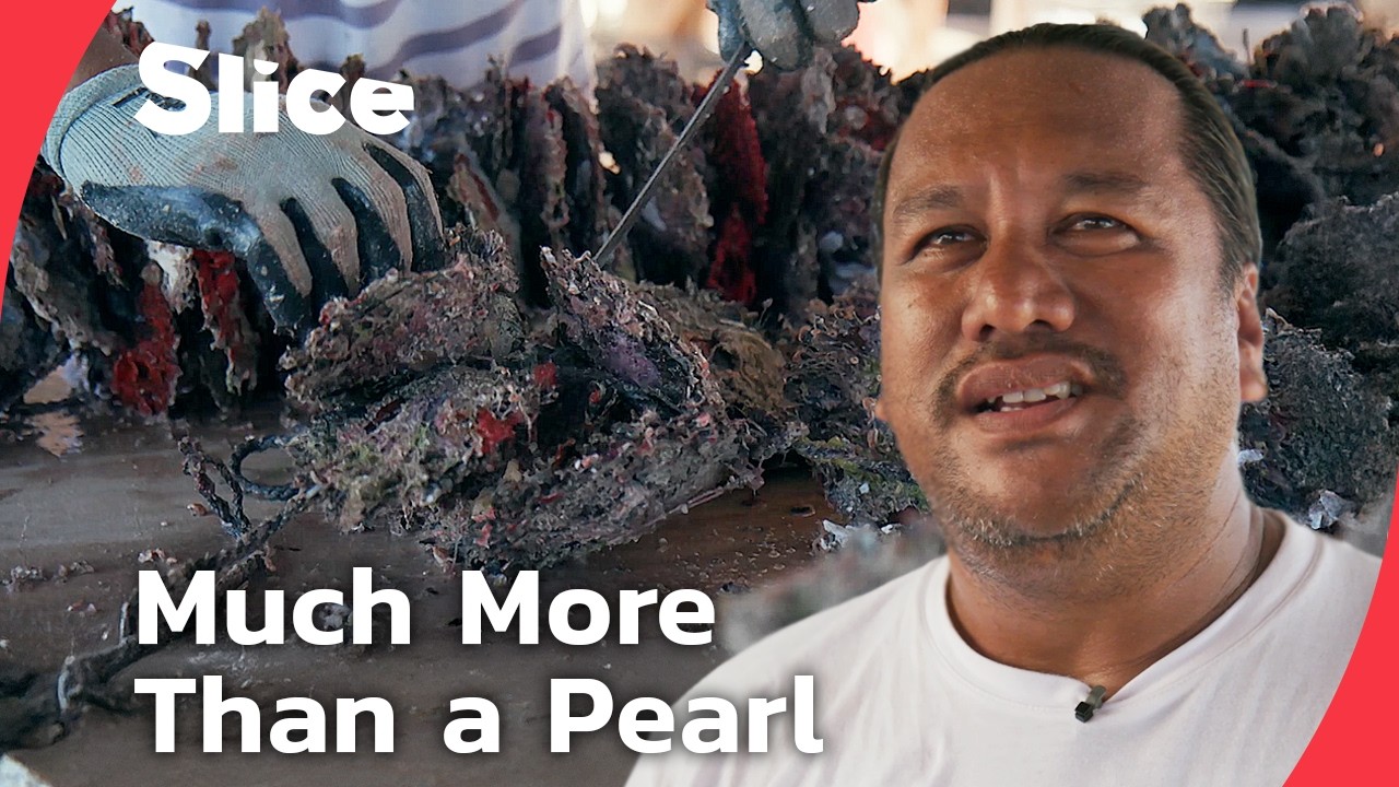 Treasures of Tahiti: The Black Pearls