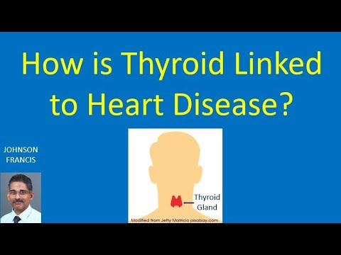 How is Thyroid Linked to Heart Disease?