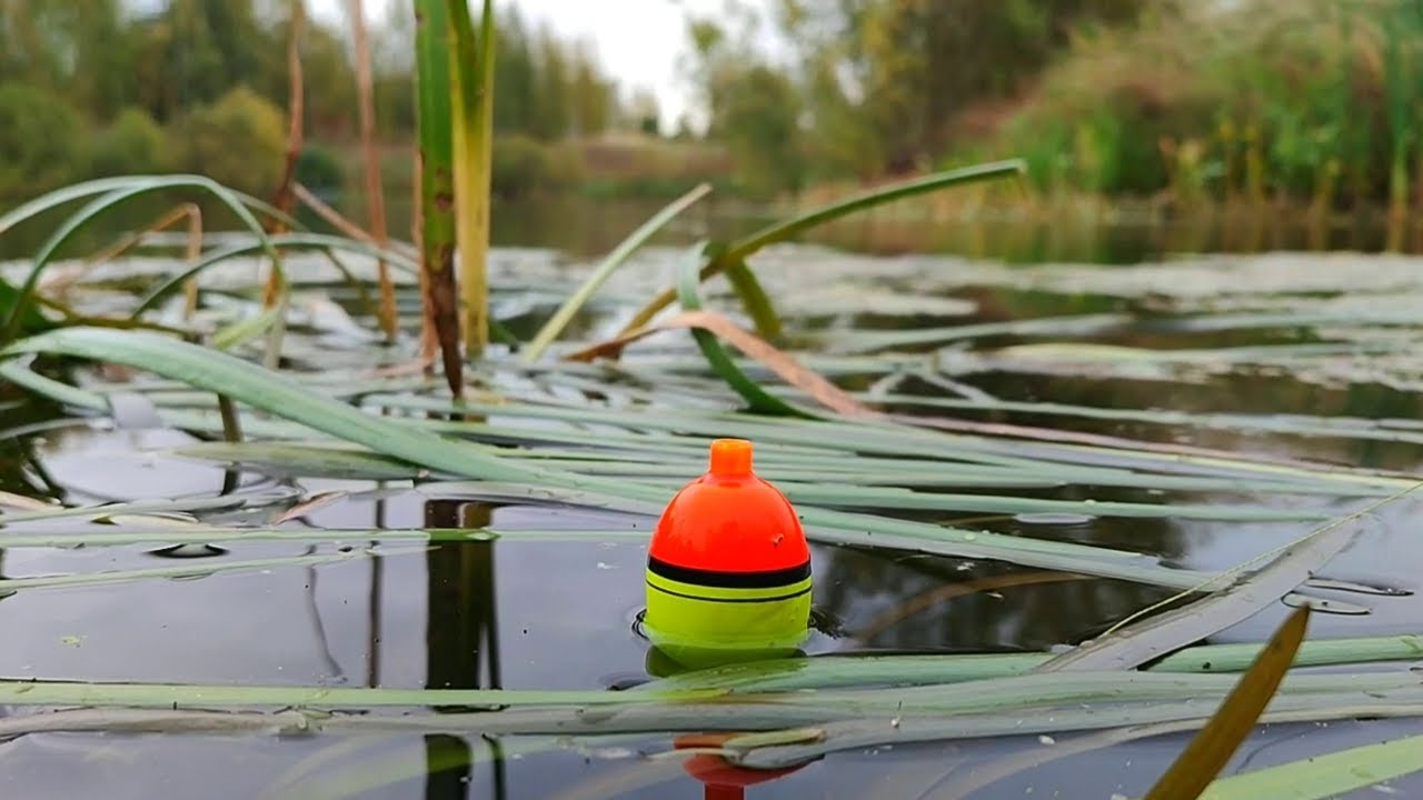 ОСЕННИЙ ЖОР ЩУКИ на поплавочную удочку